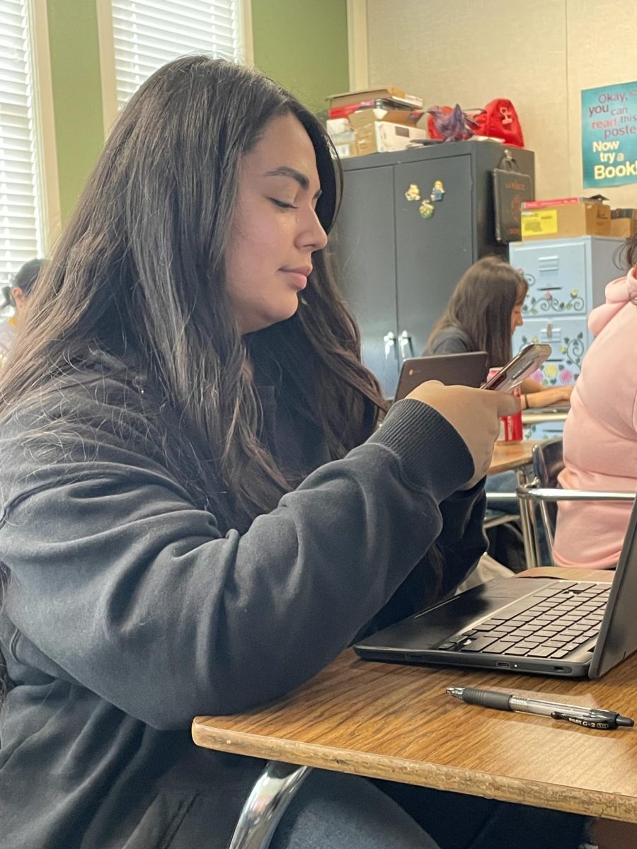 The author and her phone.