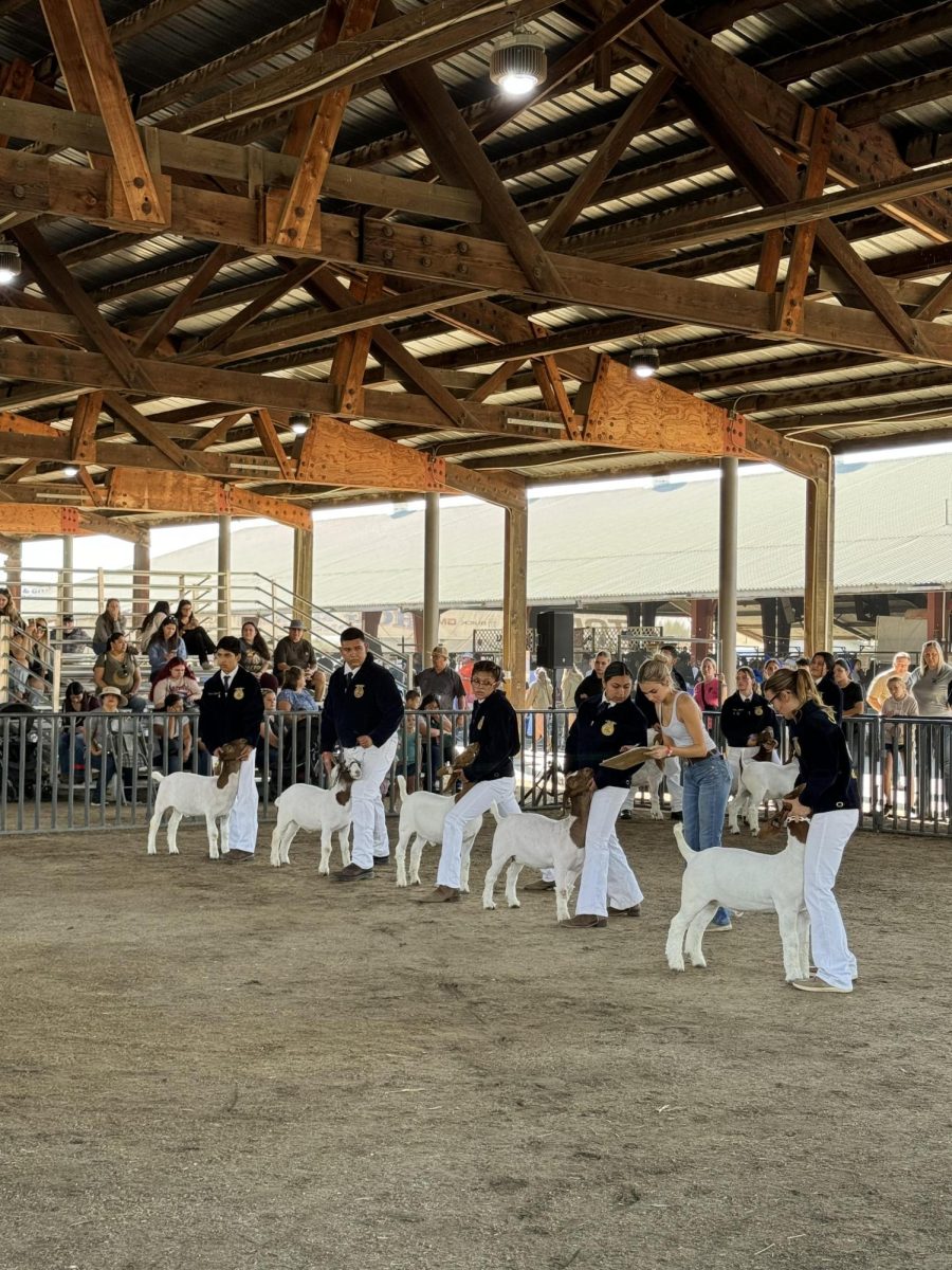 Showmen with their animals