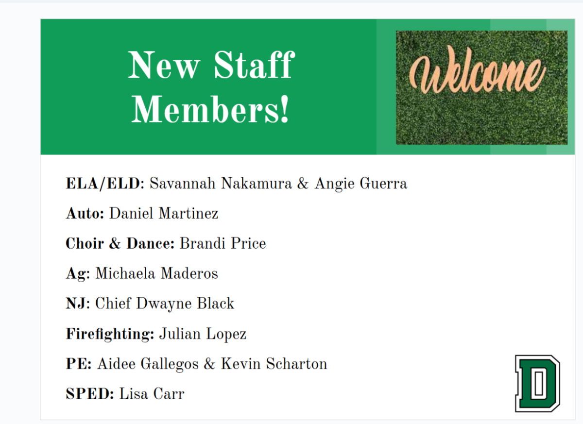 Spotlight on New DHS Teachers
