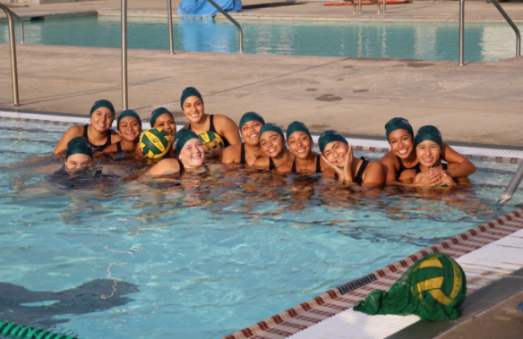 The DHS Girls Water Polo team earlier in the season.