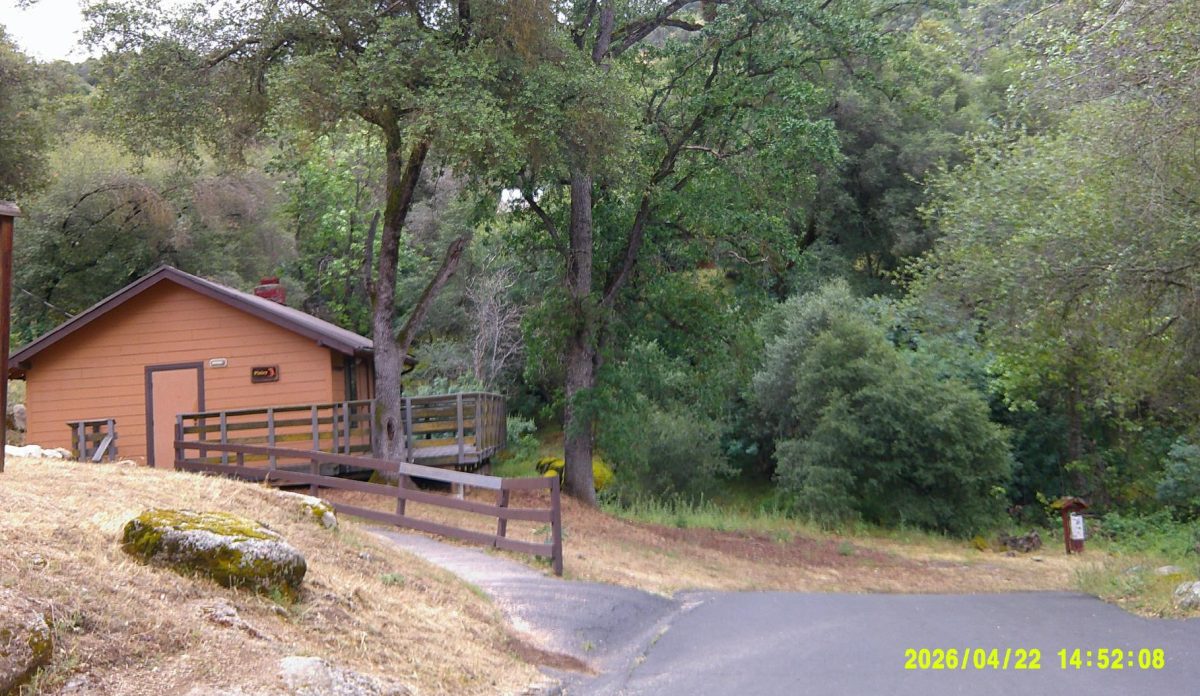 Scicon Pixley student cabin